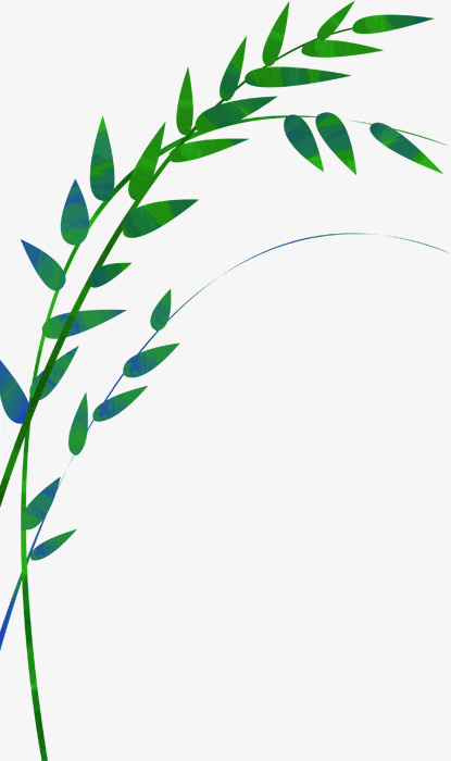 树枝免抠