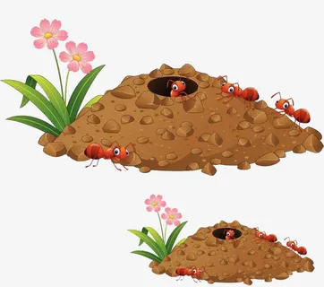 土壤里的蚂蚁小窝免抠 土壤里的蚂蚁小窝免抠