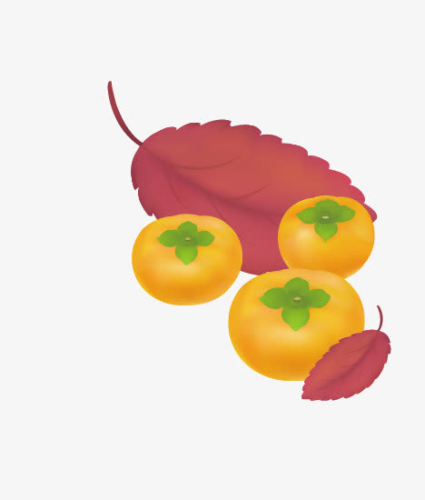 柿子免抠