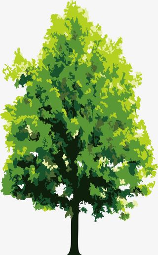 卡通槐树手绘老树免抠