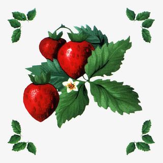 小清新草莓绿叶装饰免抠