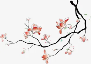花免抠