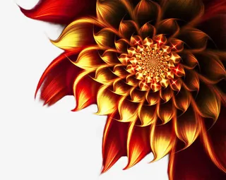 高清的 艳丽的花儿免抠