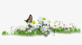 清新的春天花朵免抠