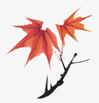 国画古韵水墨枫叶免抠