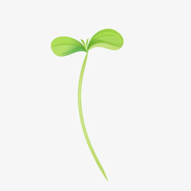 嫩芽免抠