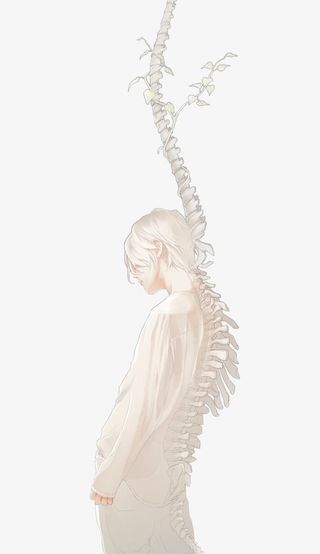 骨生花插画免抠