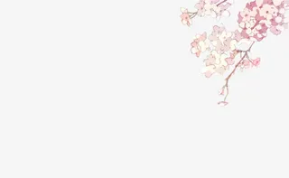 手绘粉色梅花右上角免抠