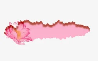 中国风荷花分类边框免抠