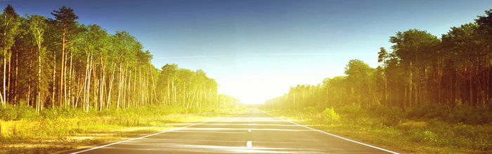 道路森林摄影背景高清