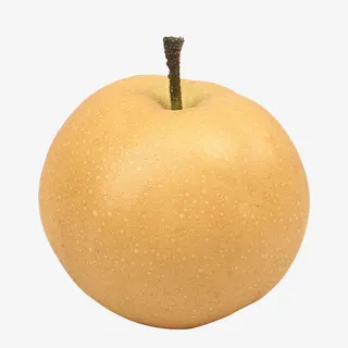 黄皮梨黄金梨免抠 黄皮梨黄金梨免抠