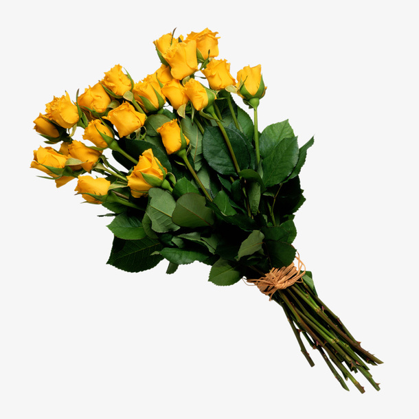 花束 鲜花 捧花  玫瑰免抠