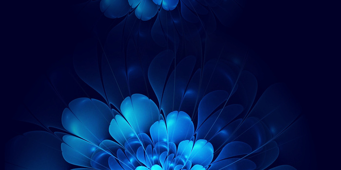 蓝色花朵背景高清