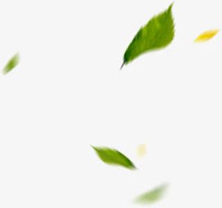 春天漂浮黄绿色树叶免抠漂浮叶子元素