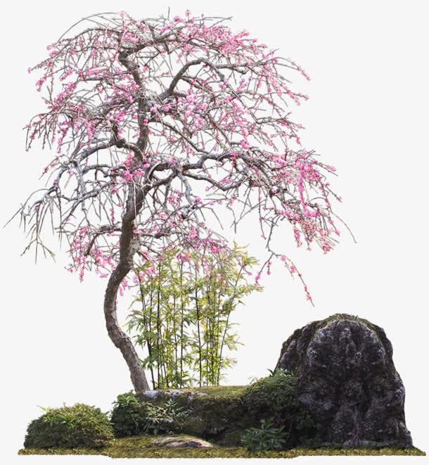 树枝岩石竹林红花免抠