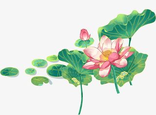 荷花和莲花图免抠