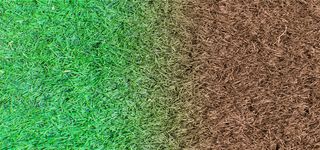 彩色草地海报背景高清