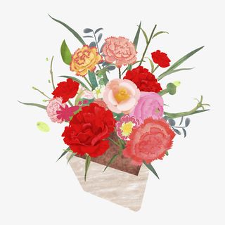 一盆康乃馨手绘插画免抠