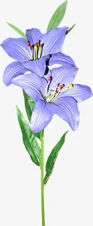 春天紫色鲜花植物免抠