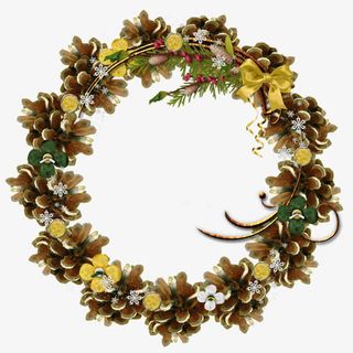 漂亮咖啡色花环免抠