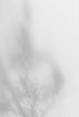 光影元素合集免抠