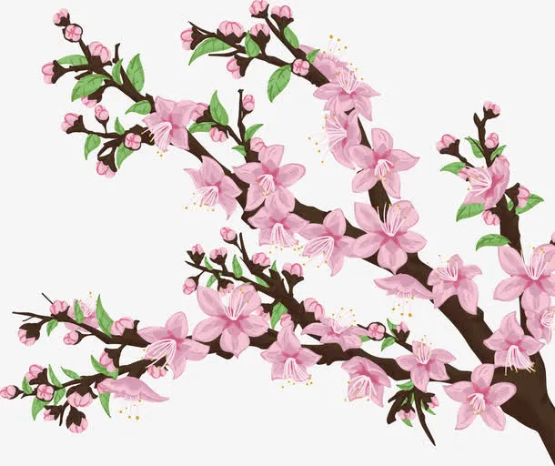 卡通桃花PNG下载免抠