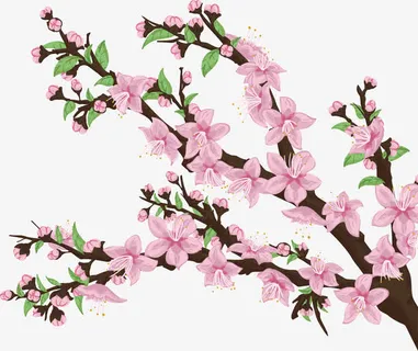 卡通桃花PNG下载免抠 卡通桃花PNG下载免抠