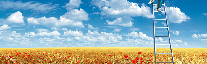 蓝天白云花海背景高清