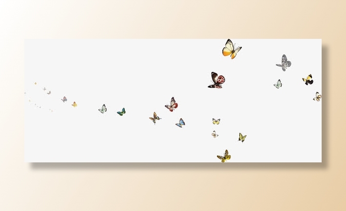 春天飞翔彩色蝴蝶合集免抠装饰动物元素