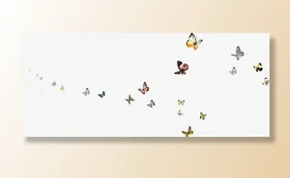 春天飞翔彩色蝴蝶合集免抠装饰动物元素