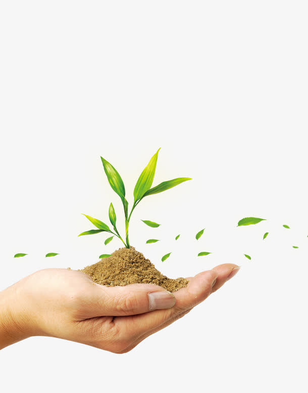 手捧植物免抠