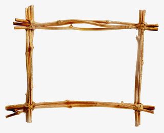 手绘相框图片  树枝边框免抠