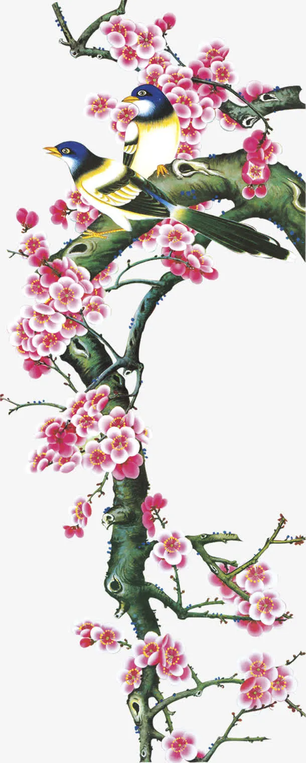 桃花上的喜鹊免抠