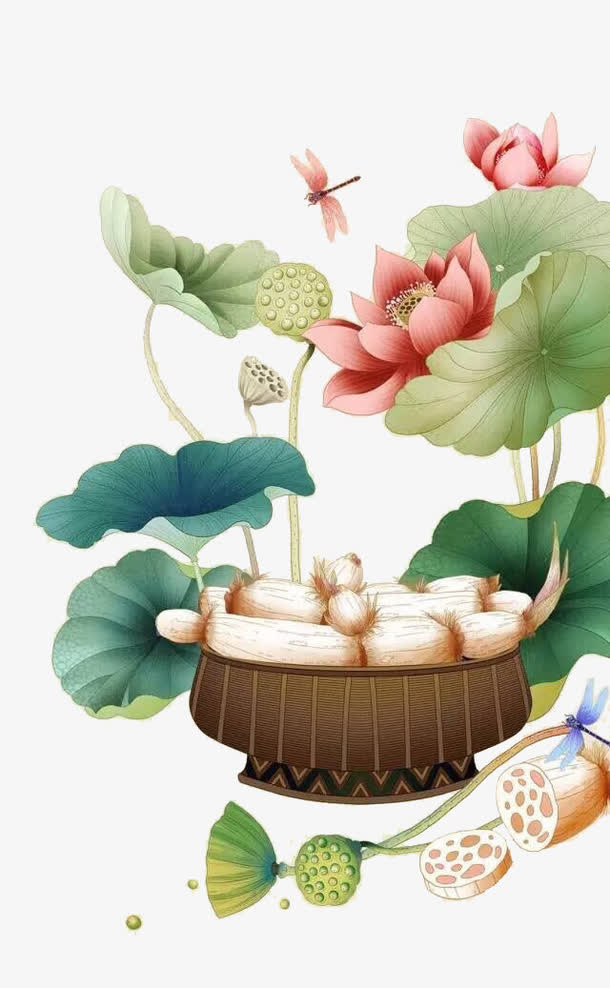 荷花免抠