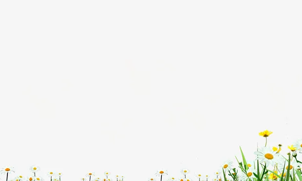 鲜花免扣PNG免抠