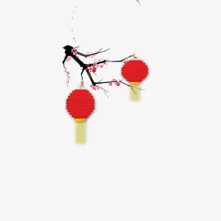 腊梅 灯笼免抠