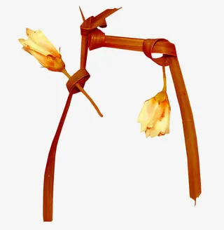 橙色枯叶花朵免抠