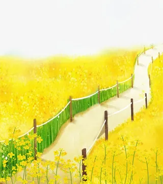 油菜花开春天插画免抠