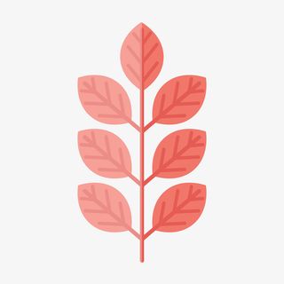 红色的树叶和树枝免抠