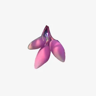 火龙果大叶瓣免抠