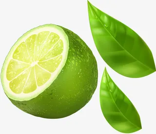 绿色橙子免抠