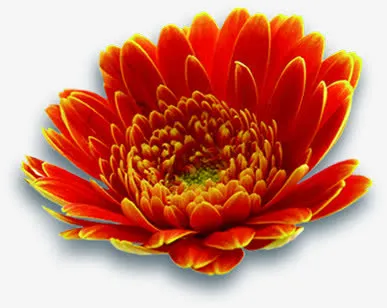 分层鲜花盛开美景免抠