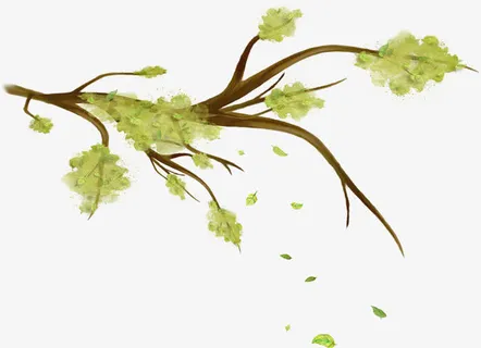 水彩树枝免抠 水彩树枝免抠