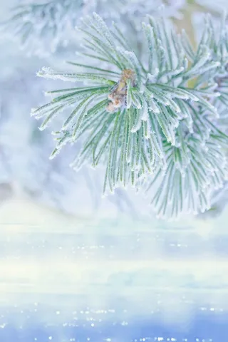 清新雾凇旅行宣传广告高清