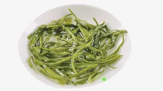 水中的毛尖茶免抠