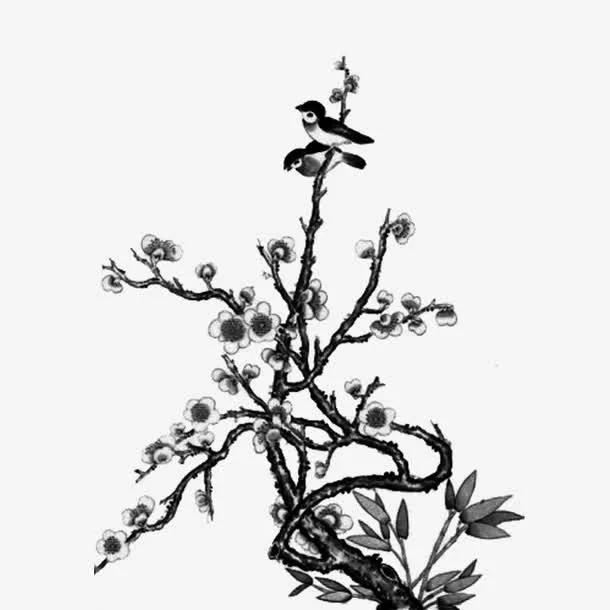 花枝免抠