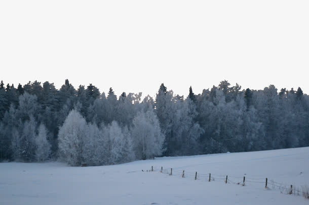 白色雪原免抠