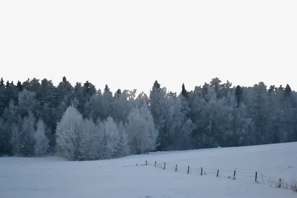 白色雪原免抠