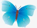 蓝色唯美梦幻手绘蝴蝶装饰免抠