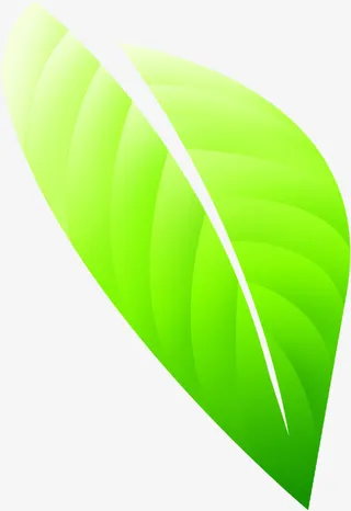 春天花朵植物树叶免抠